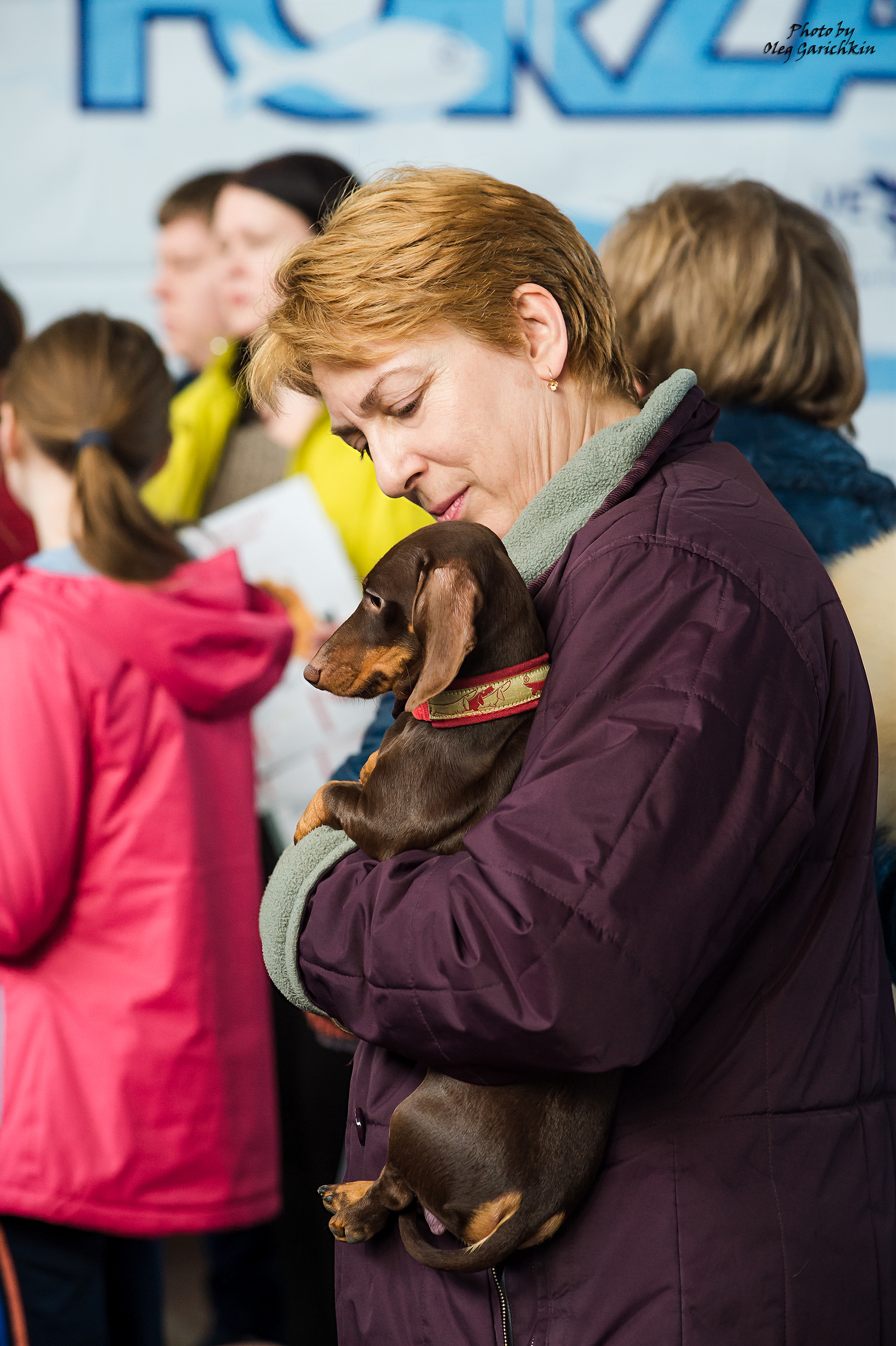 I continue to replenish the tape with reportage pictures from dog shows held in the South of Russia in 2018, enjoy watching))) - My, Dog, Dogs and people, Exhibition, Dog show, Animalistics, The photo, , Longpost