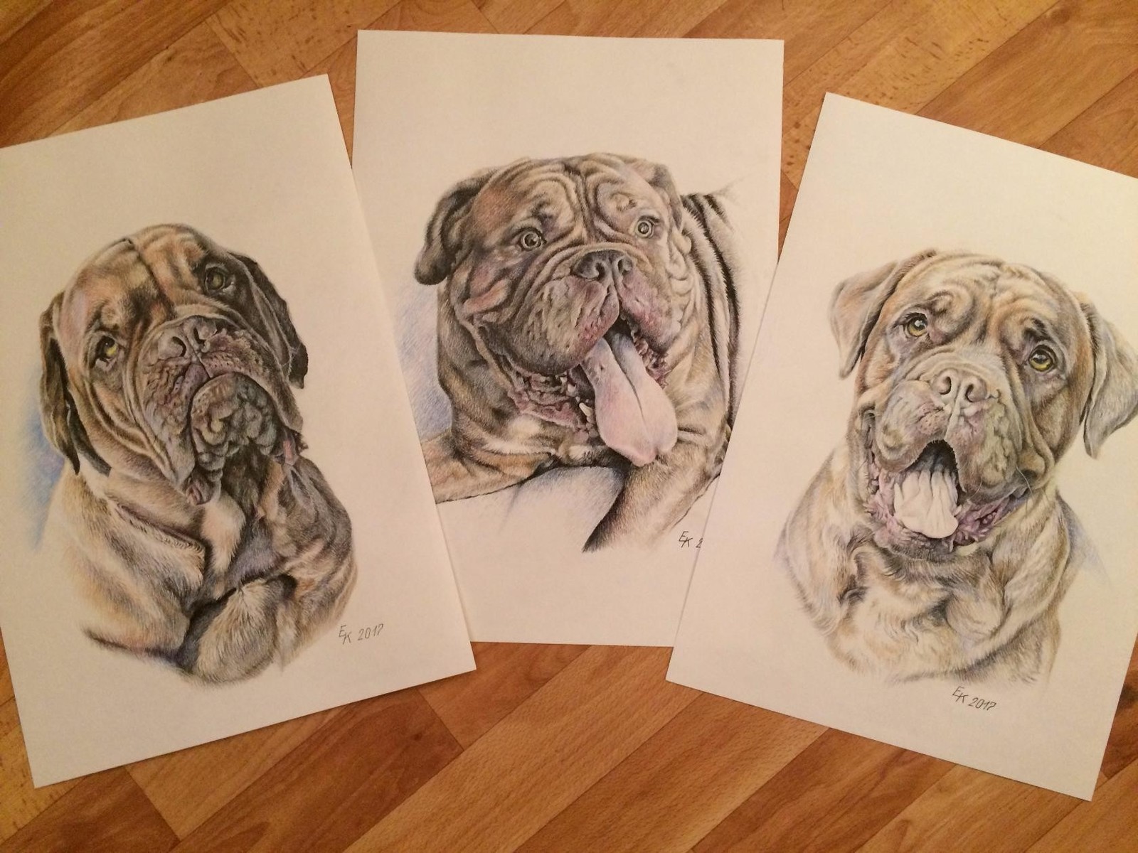 Doges of Bordeaux. The portraits are made with colored pencils. - My, Dog, Portrait, Drawing, Longpost