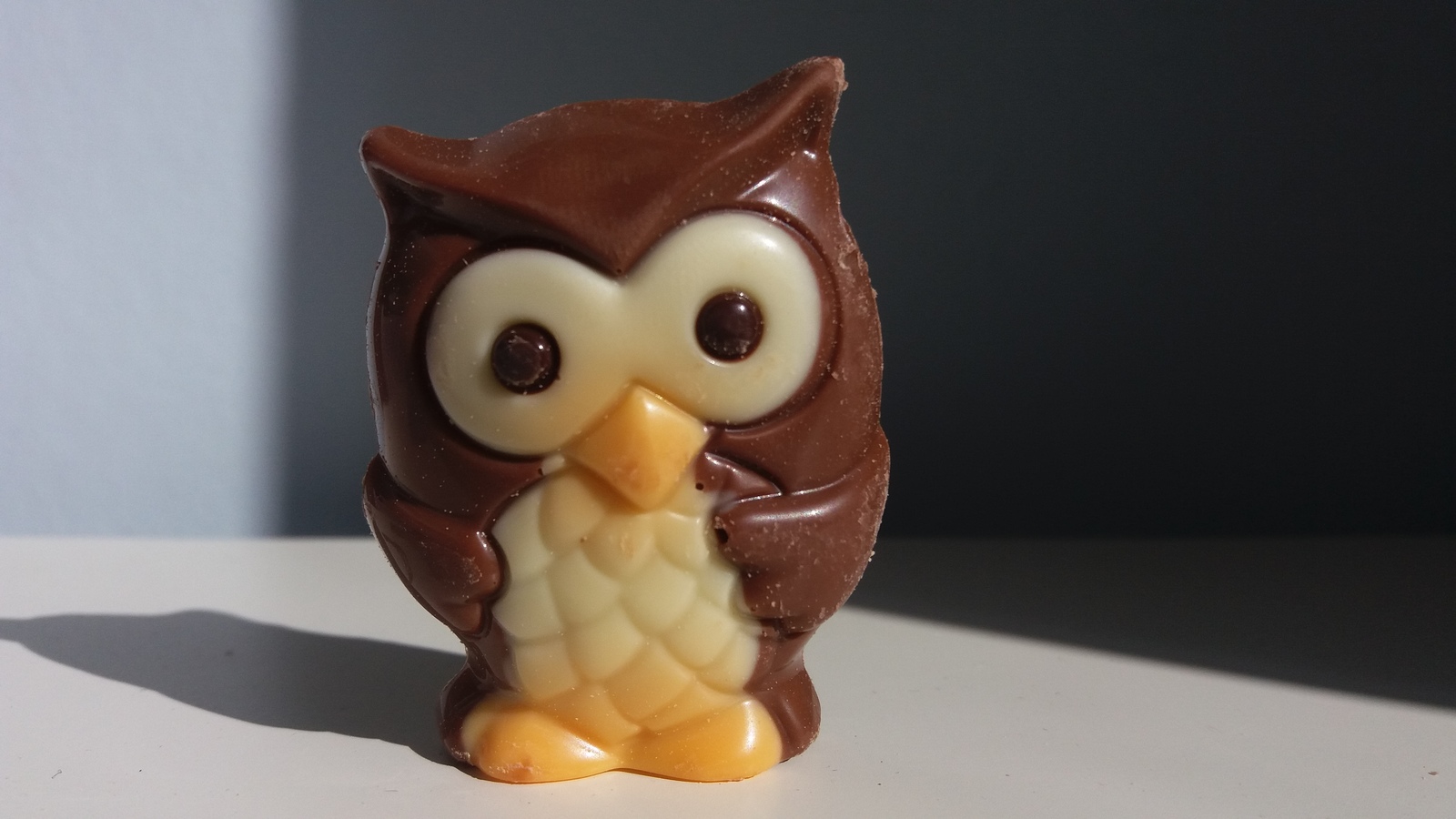 Owl is an effective manager - My, The photo, Chocolate, Owl