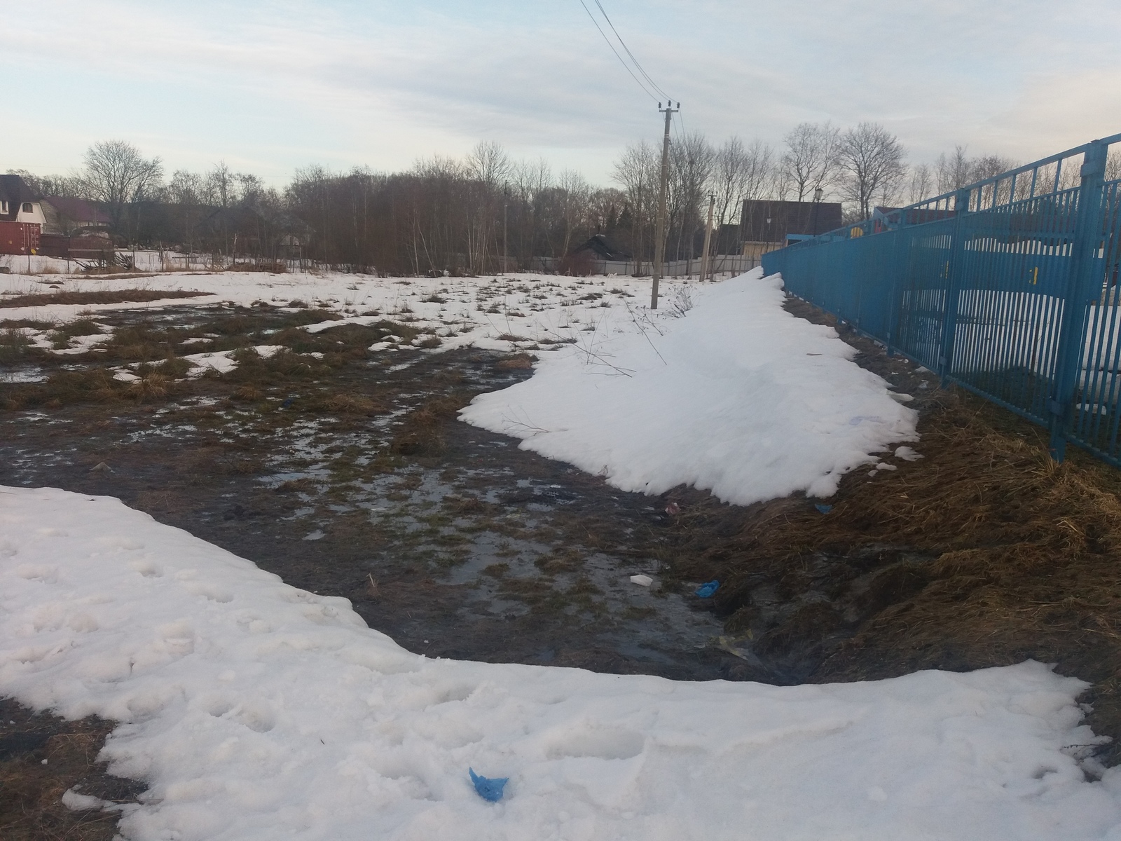 The first victims of the kindergarten - My, Sewerage, Longpost, Ecology, Kindergarten, Leningrad region, ROPSHA, Negative