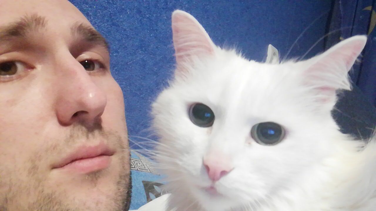 Драма в 4 актах | Пикабу