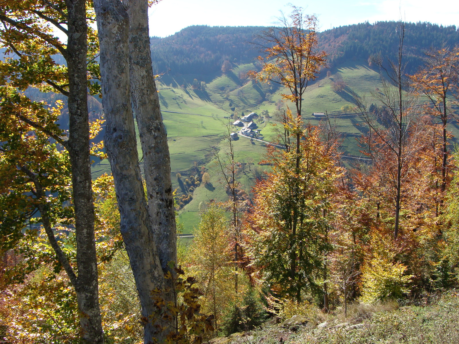 Journey through the Black Forest, part two - My, Germany, Travels, Black Forest, Autumn, Vacation, The photo, Longpost