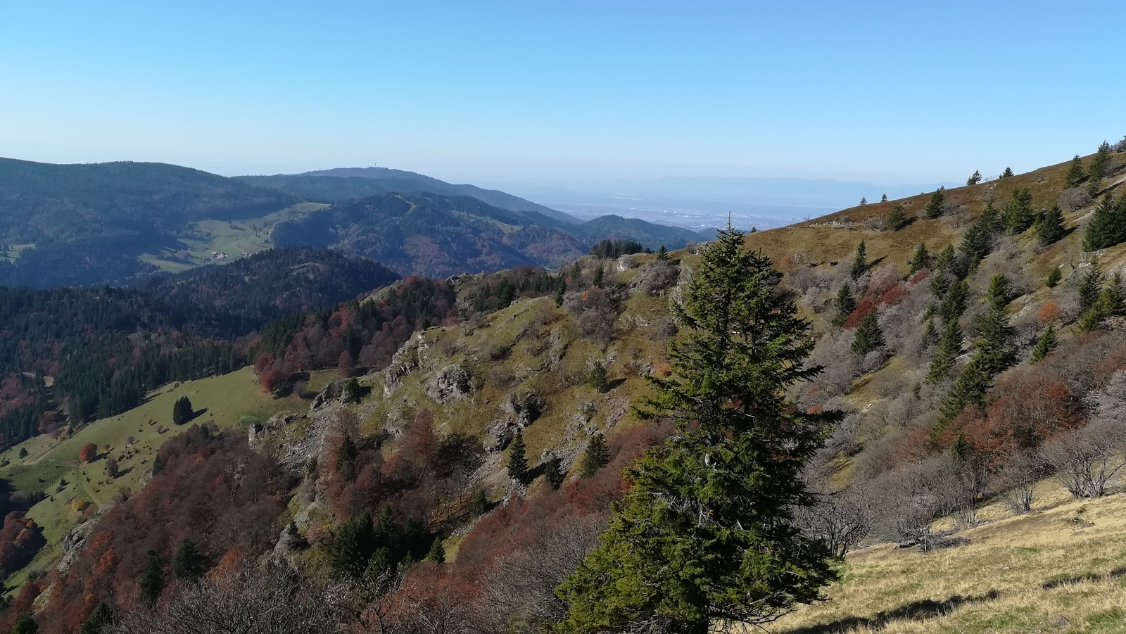 Journey through the Black Forest, part two - My, Germany, Travels, Black Forest, Autumn, Vacation, The photo, Longpost