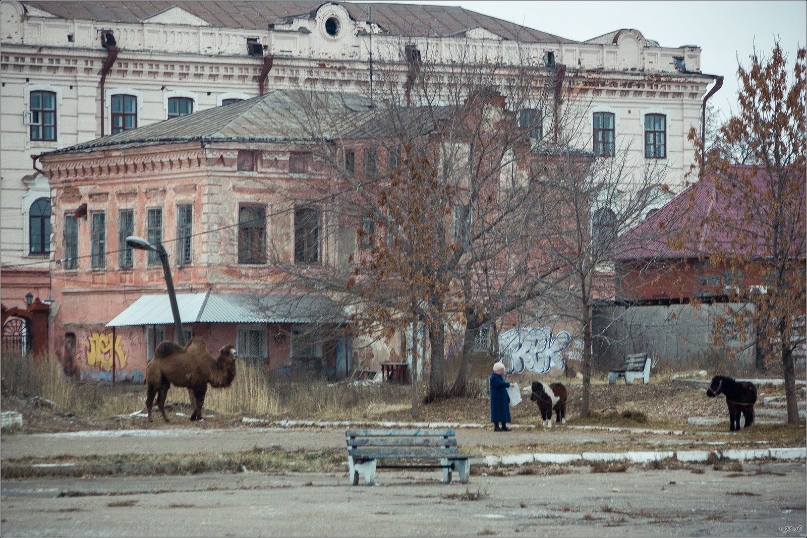 On the topic of contrasts in Russia - My, Devastation, Sarapul, Udmurtia