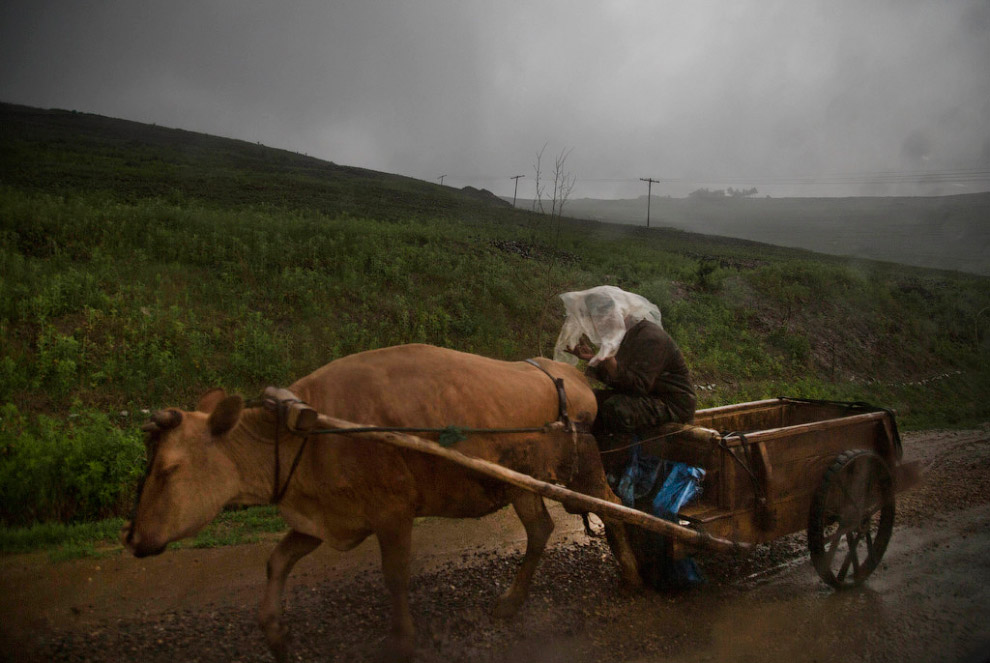 North Korea through the lens of a hidden camera - North Korea, Hidden camera, Video, Longpost