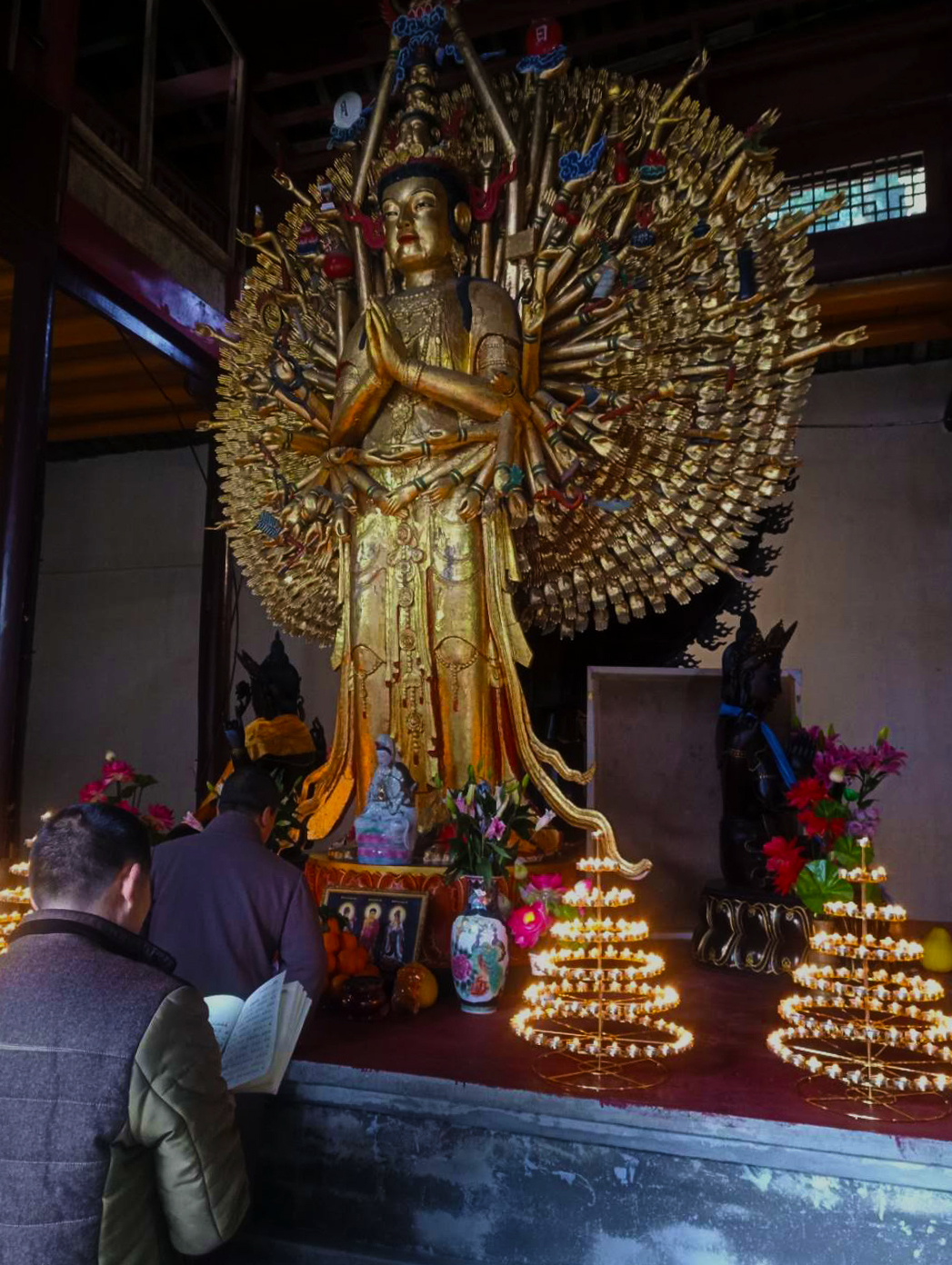 Travel in China. Sacred Mount Emeishan (Part One) - My, China, Travels, Nature, Reserve, Sichuan, UNESCO Heritage Site, Reportage, beauty, Longpost, Reserves and sanctuaries