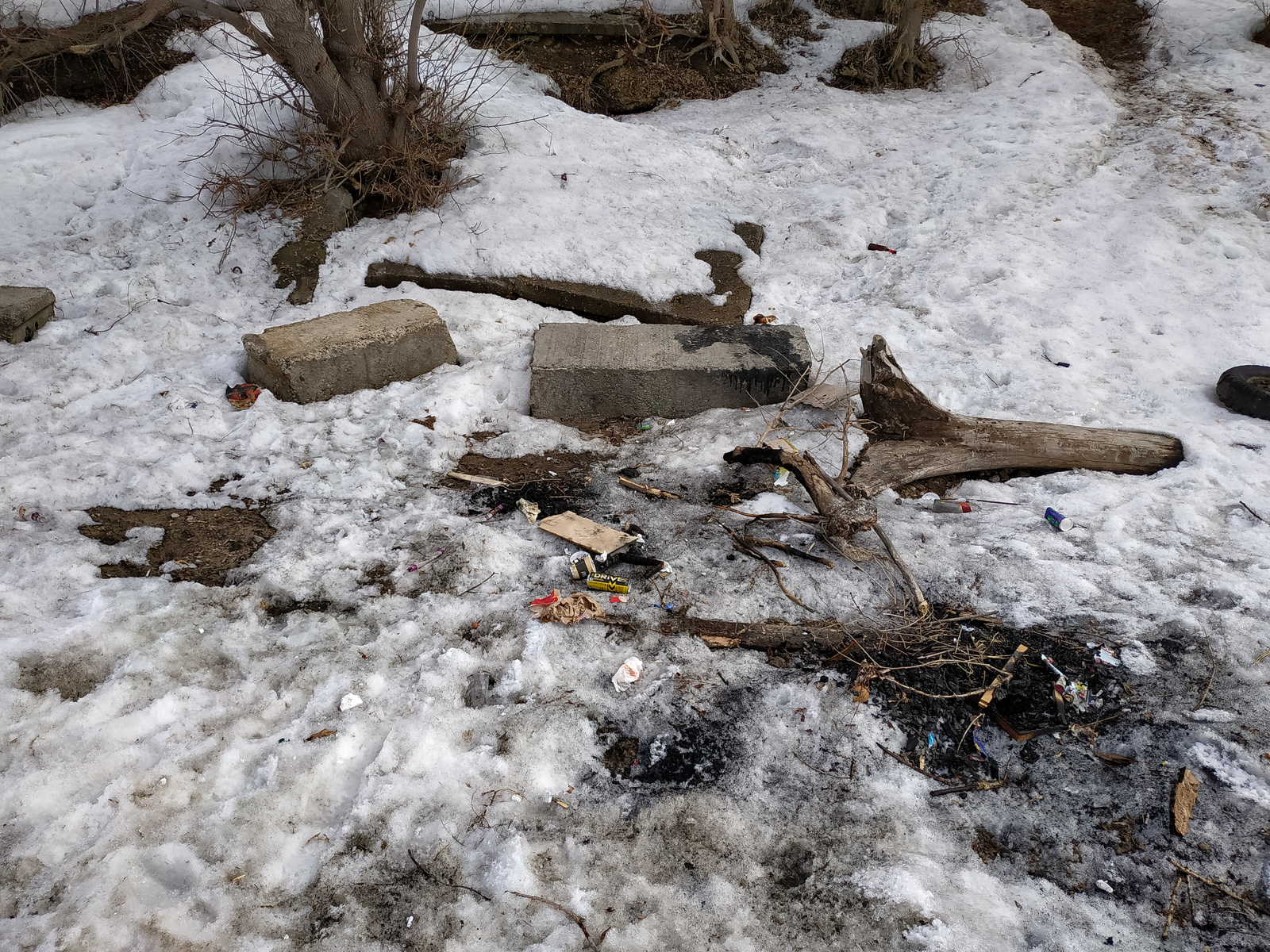 Raid in Samara on the banks of the Volga - My, Samara, Volga, Saturday clean-up, Pure Man's League, Longpost, Volga river