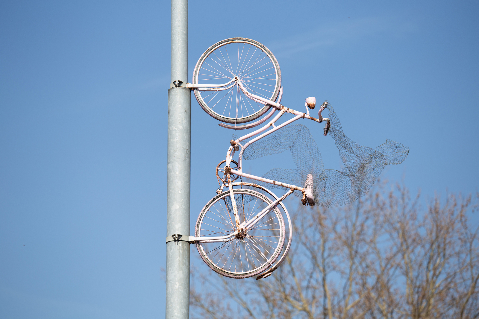 There is also a cyclist - My, A bike, Cyclist, Germany, Longpost