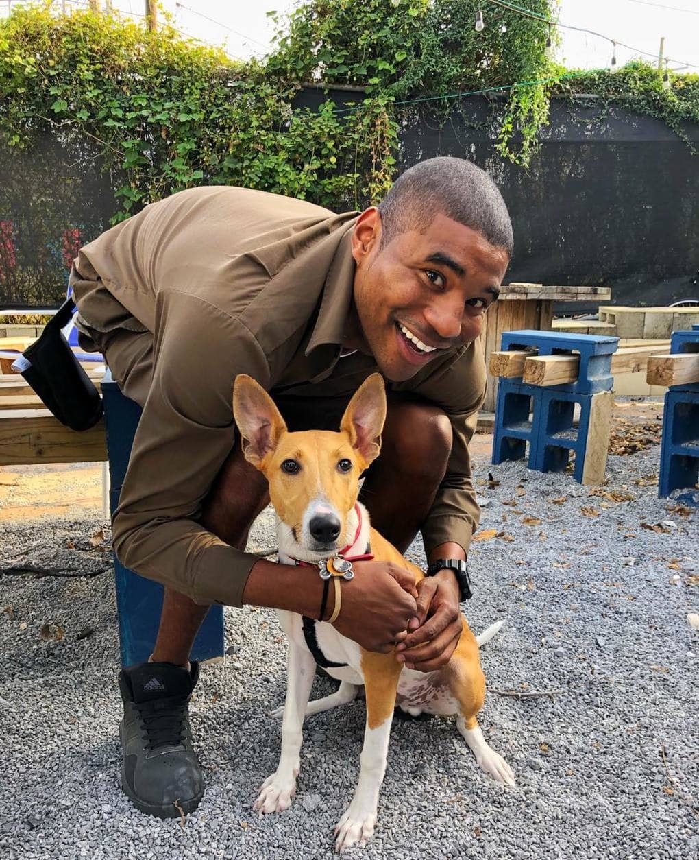 The guy works as a courier and takes pictures with clients' dogs. - Dog, Courier, The photo, Longpost, Fasting April 1, 2019, UPS