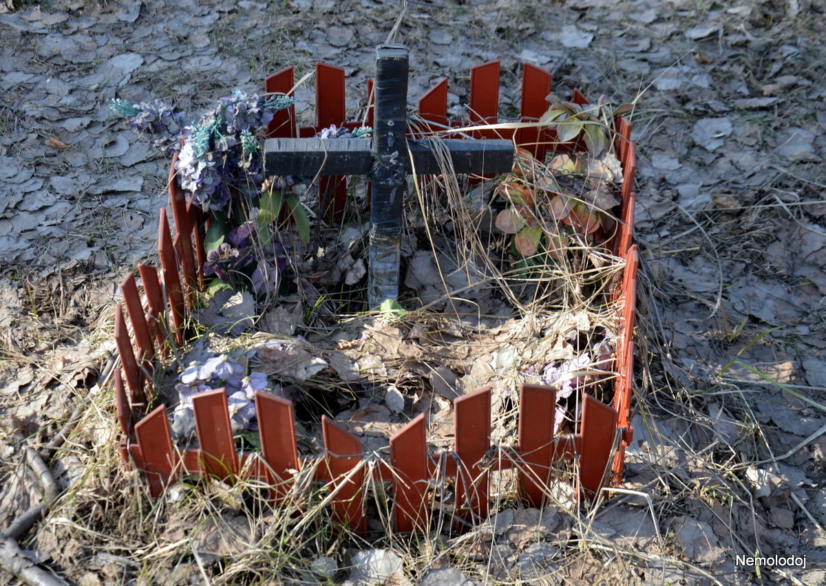 Pet cemetery - My, Pet cemetery, Dogs and people, Beginning photographer, Reflections, Longpost, Thoughts, Pets, Cemetery