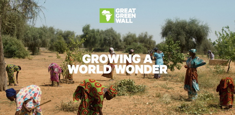 Did you know that 15% of the Great Green Wall in the Sahara has already been “built” - Sahara, Africa, Ecology