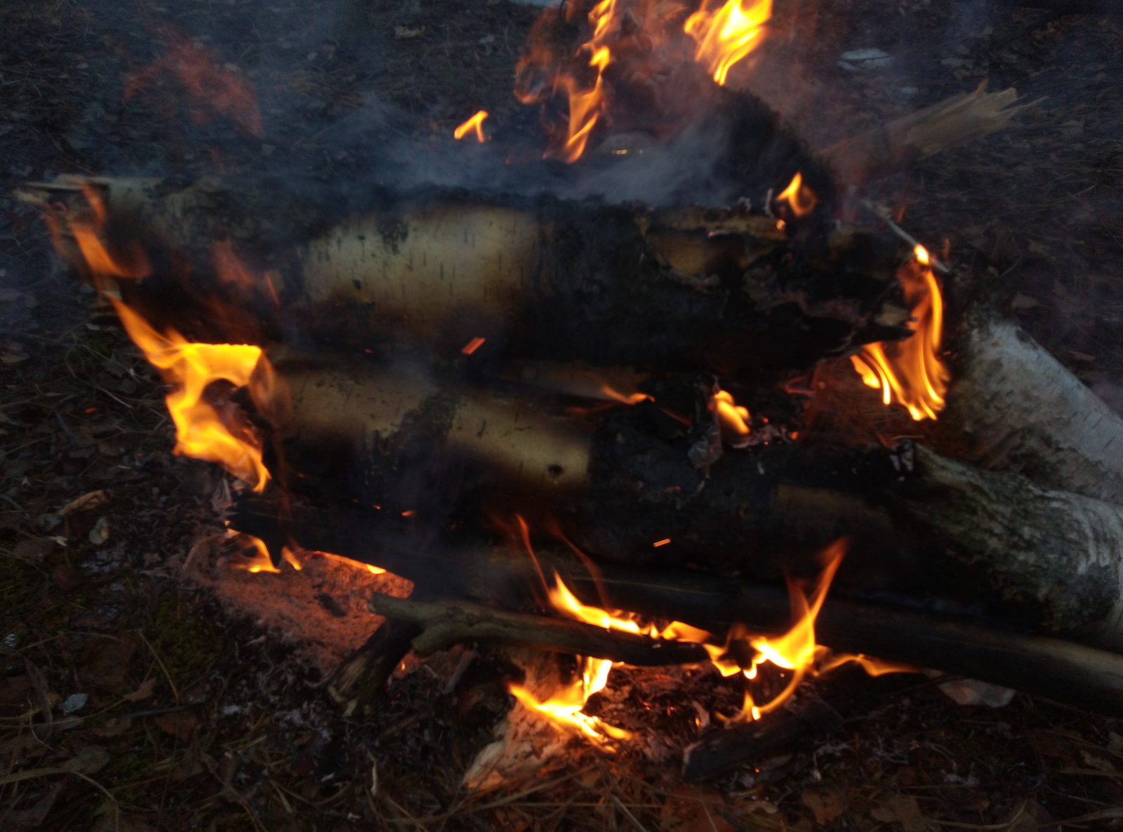 Spring bonfire post). With the upcoming awakening of nature, comrades) Strength and delicacy to you when relaxing in nature ... - My, , , beauty, , Longpost