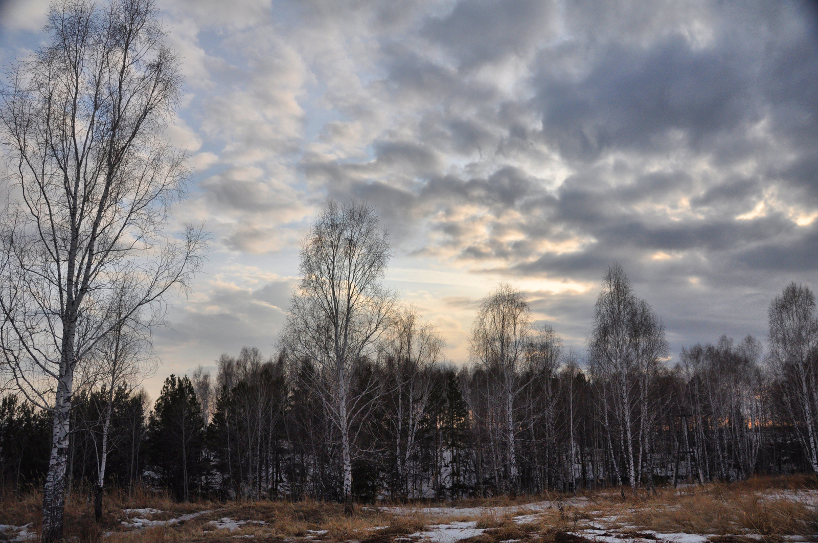 Spring look - My, Spring, Snow, , River, Road, Sky, Longpost