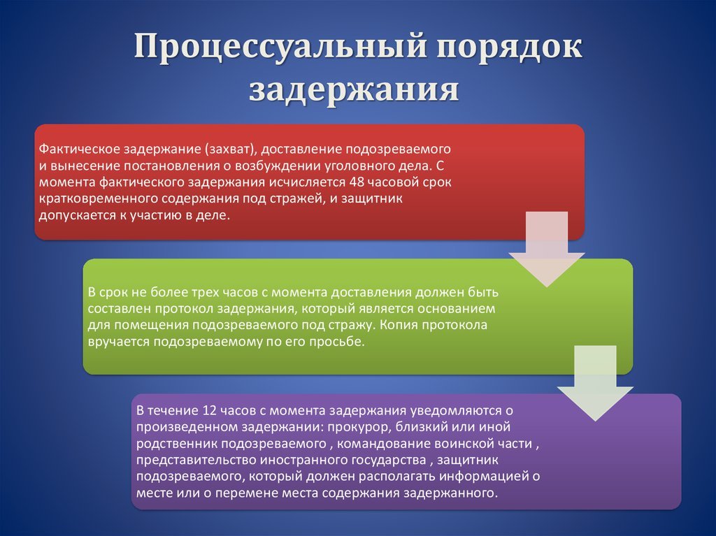 Если Вас задержала полиция, что делать - Следствие, Задержание, Родные, Адвокат, Юристы, Полиция, Россия, Закон, Длиннопост