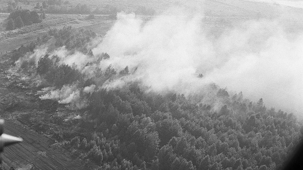 Самое страшное лето в СССР: засуха 1972 года - Засуха, СССР, Длиннопост