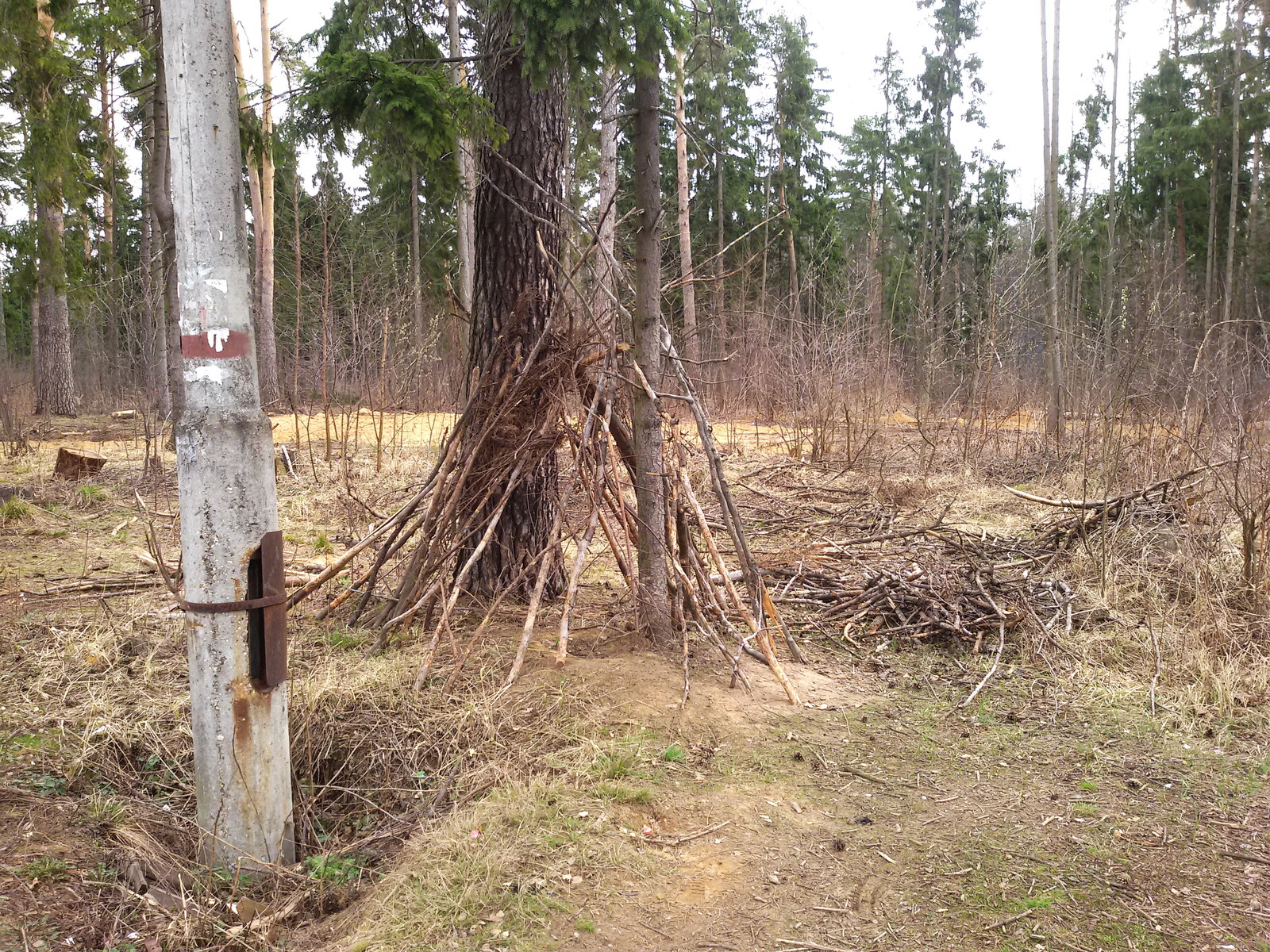 Hard choise - My, Pestovsky Park, The park, Camping, , Longpost