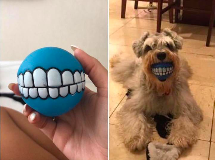 Balls for your pets)) - Dog, Pet, Animals, Dog days, Toys for animals, Pets