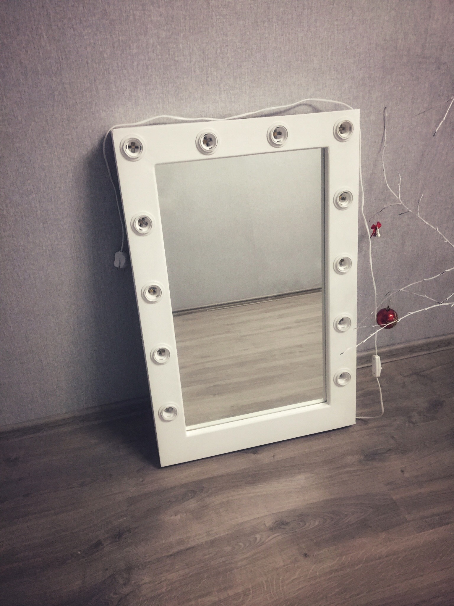 Dressing room mirrors, start! - My, Make-up mirror, With your own hands, Difficulties, cat, Mirror, Yekaterinburg, Longpost