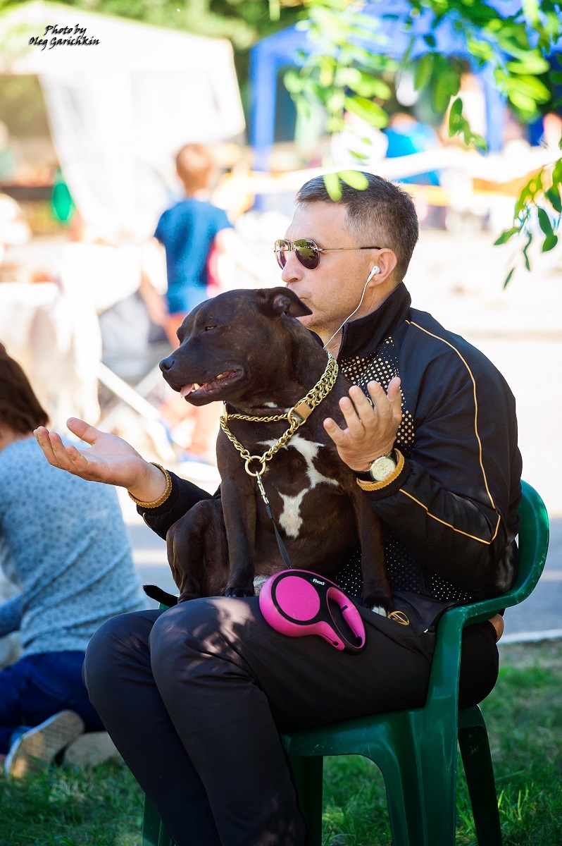 I continue to publish reportage pictures from dog shows that took place in the South of Russia in 2018, pleasant viewing))) - My, Dog, Dogs and people, Dog show, Animalistics, Longpost