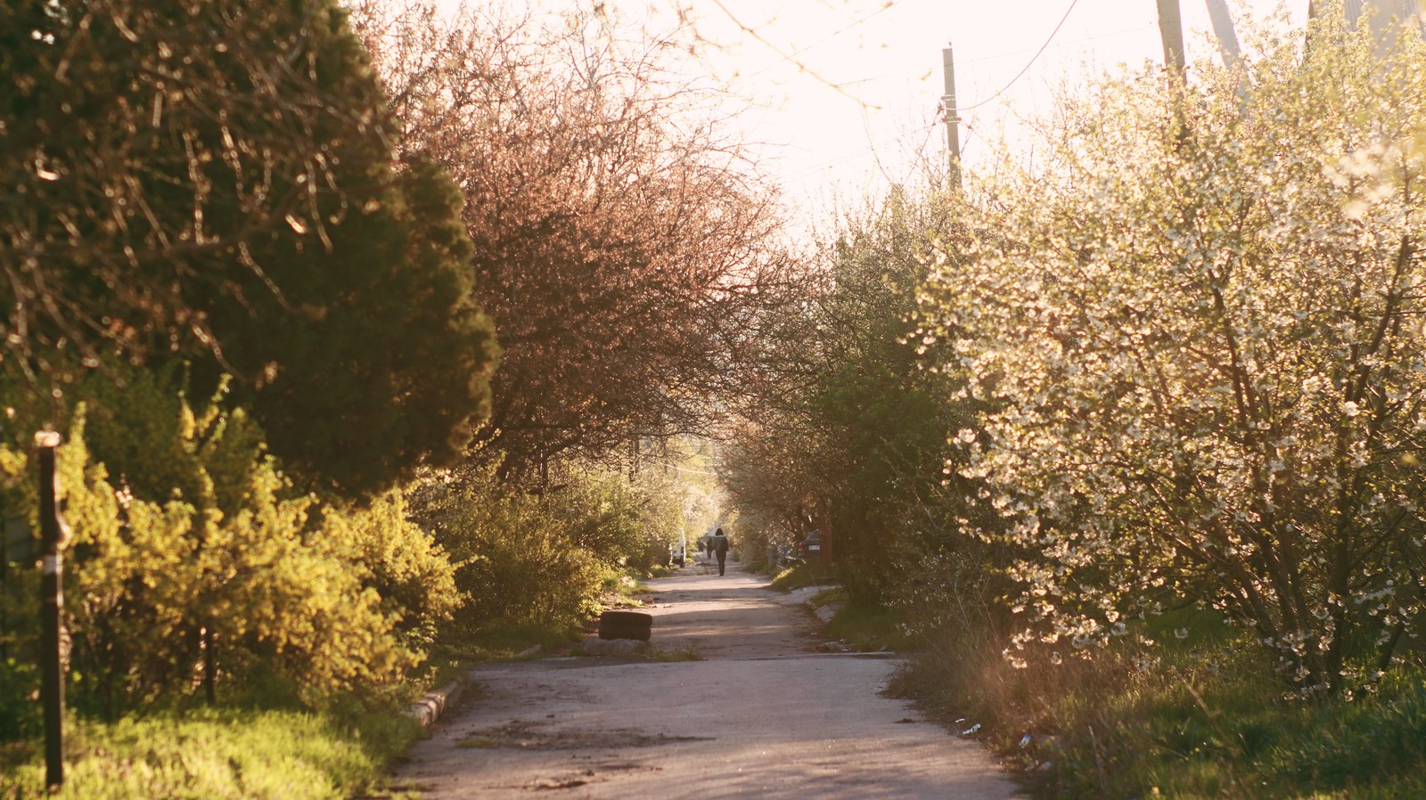 Actress Spring - My, Beginning photographer, Jupiter-9, Manual optics, Spring