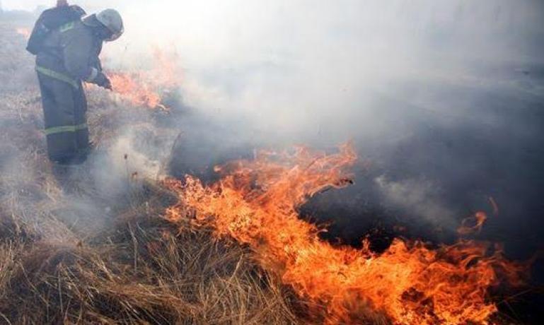 Arson of dry grass: who, why and why - My, , Fallen Grass, Firefighters, Forest fires, Deadwood, , Longpost