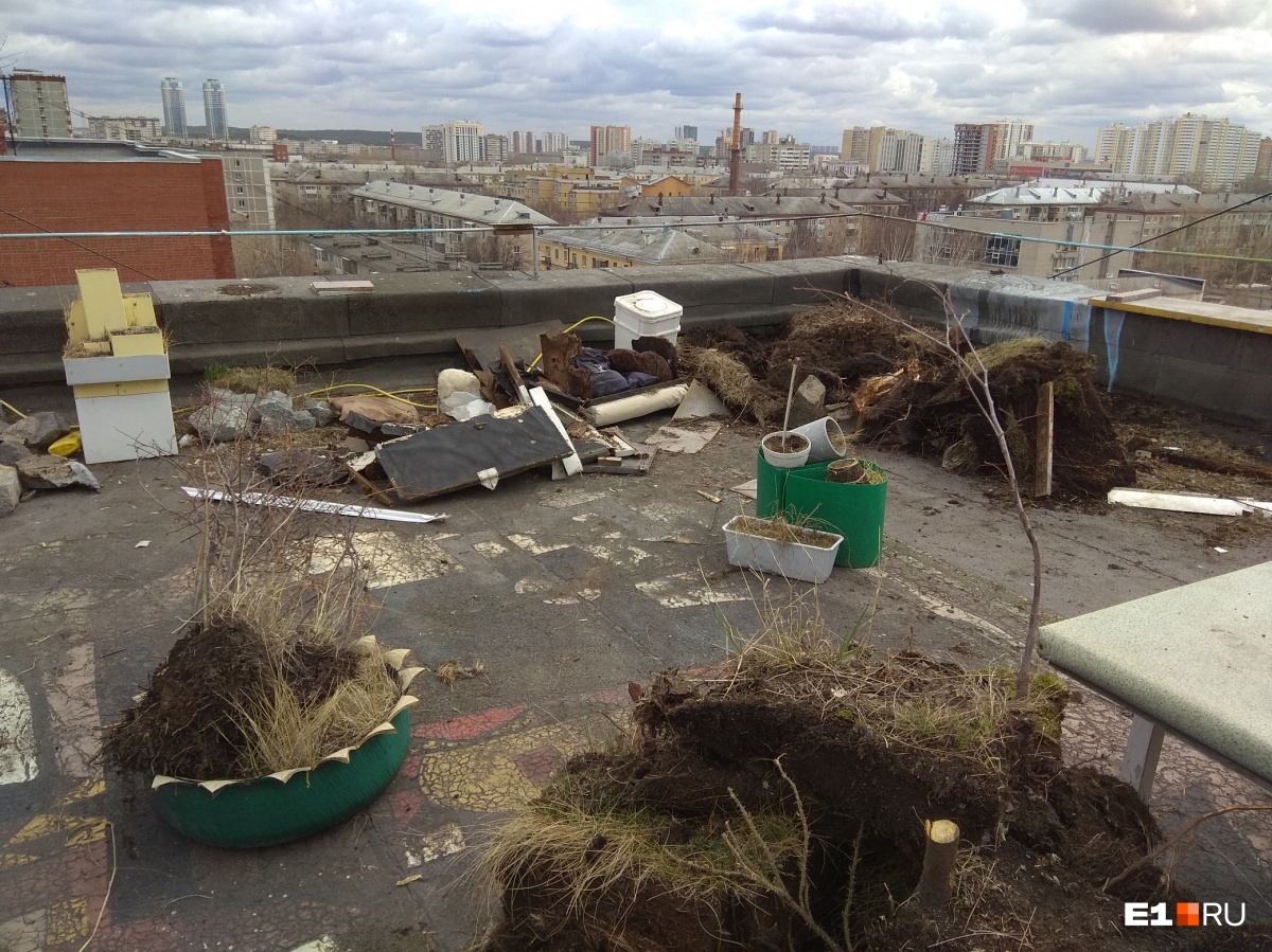 In Yekaterinburg, a garden on the roof of a 9-storey building was destroyed, which was broken by a local 18 years ago - Yekaterinburg, Management Company, Garden, Tree, Longpost, Roof, Negative