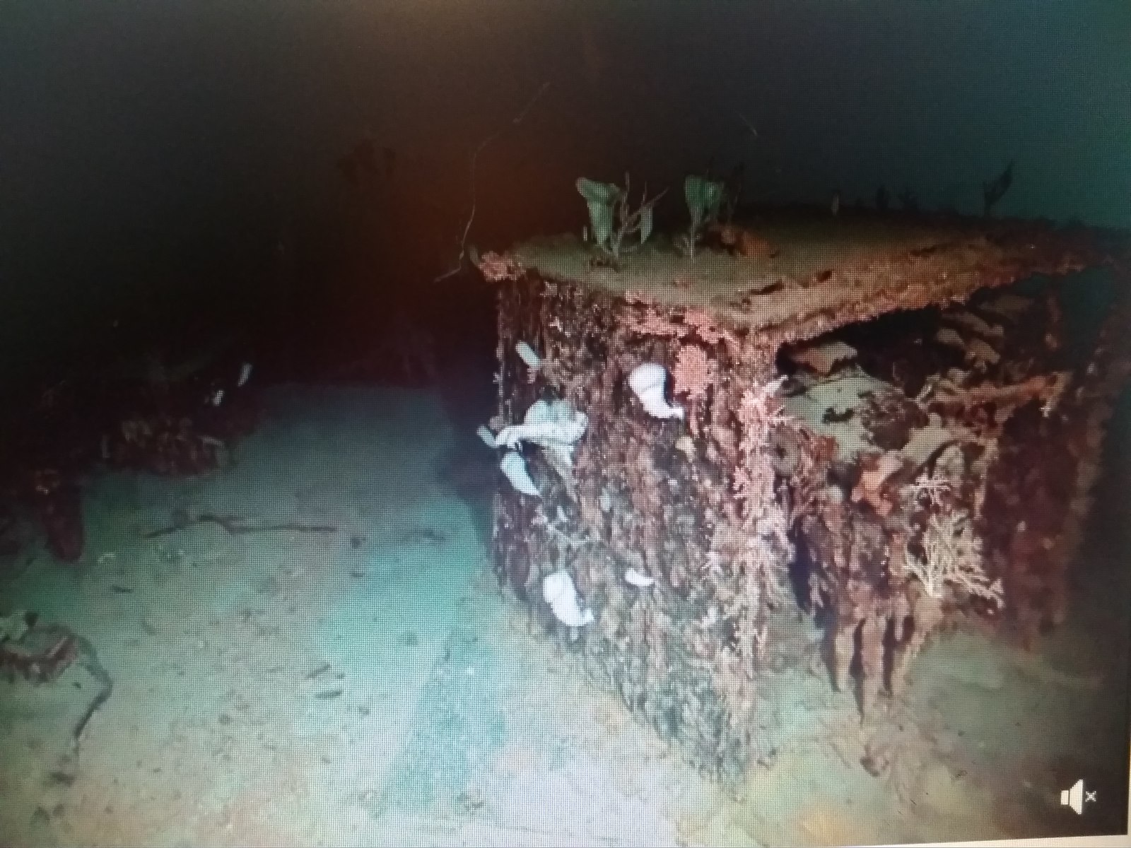 Japanese cruiser Jintsu at the bottom of the Pacific Ocean - Ocean, The Second World War, Japan, USA, , , Longpost