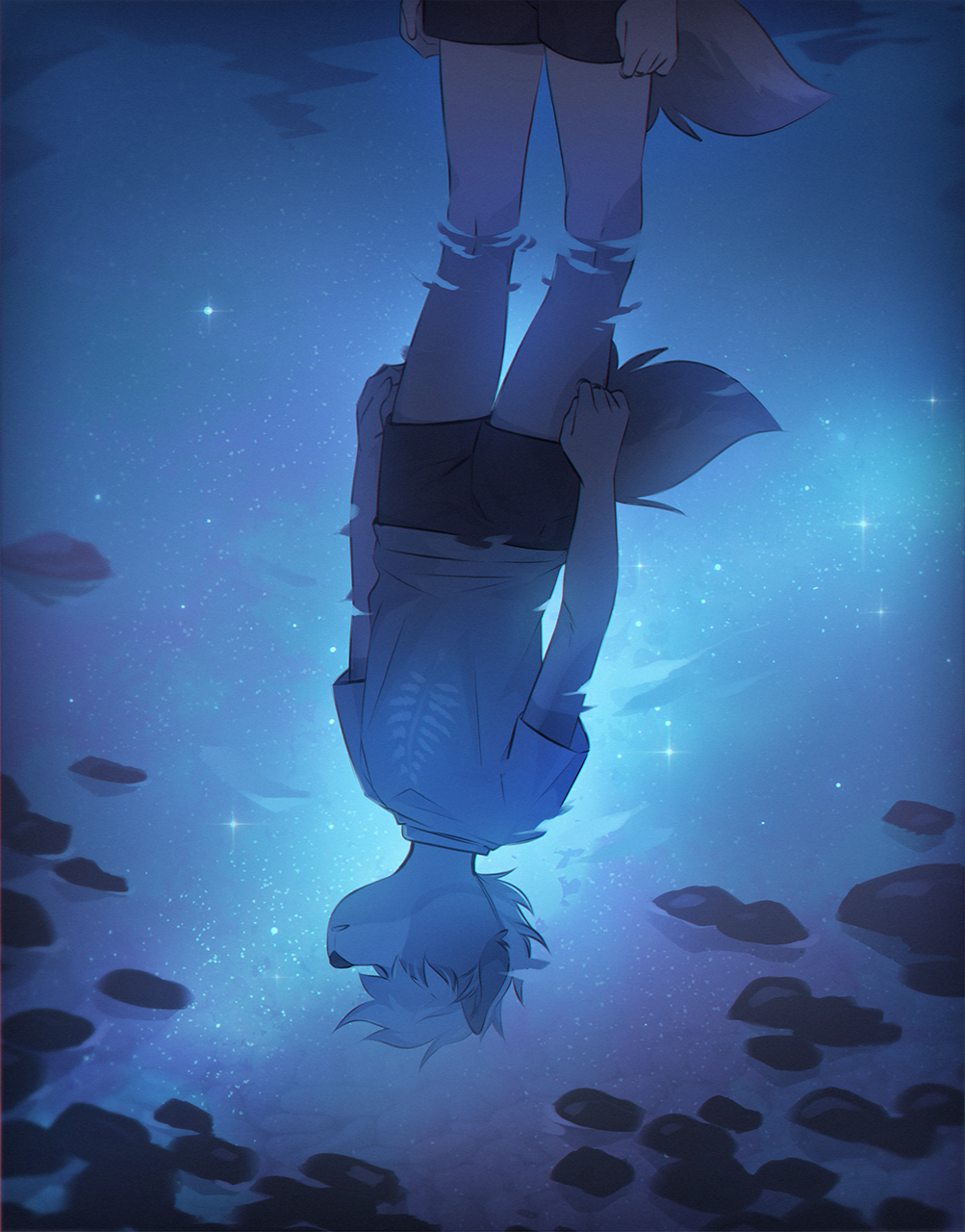 Night Sky - Furry, Furry art, Night, Starry sky, Reflection in a puddle, Reflection, Fumiko