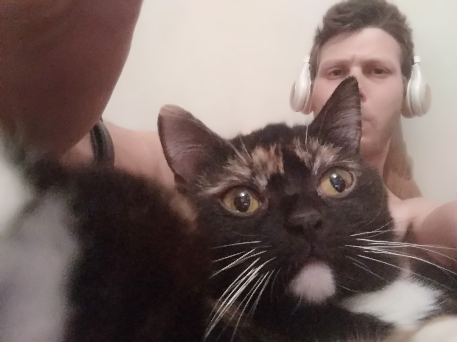 me and my kitty - My, Tricolor cat, Story, The photo, Text, Longpost, cat