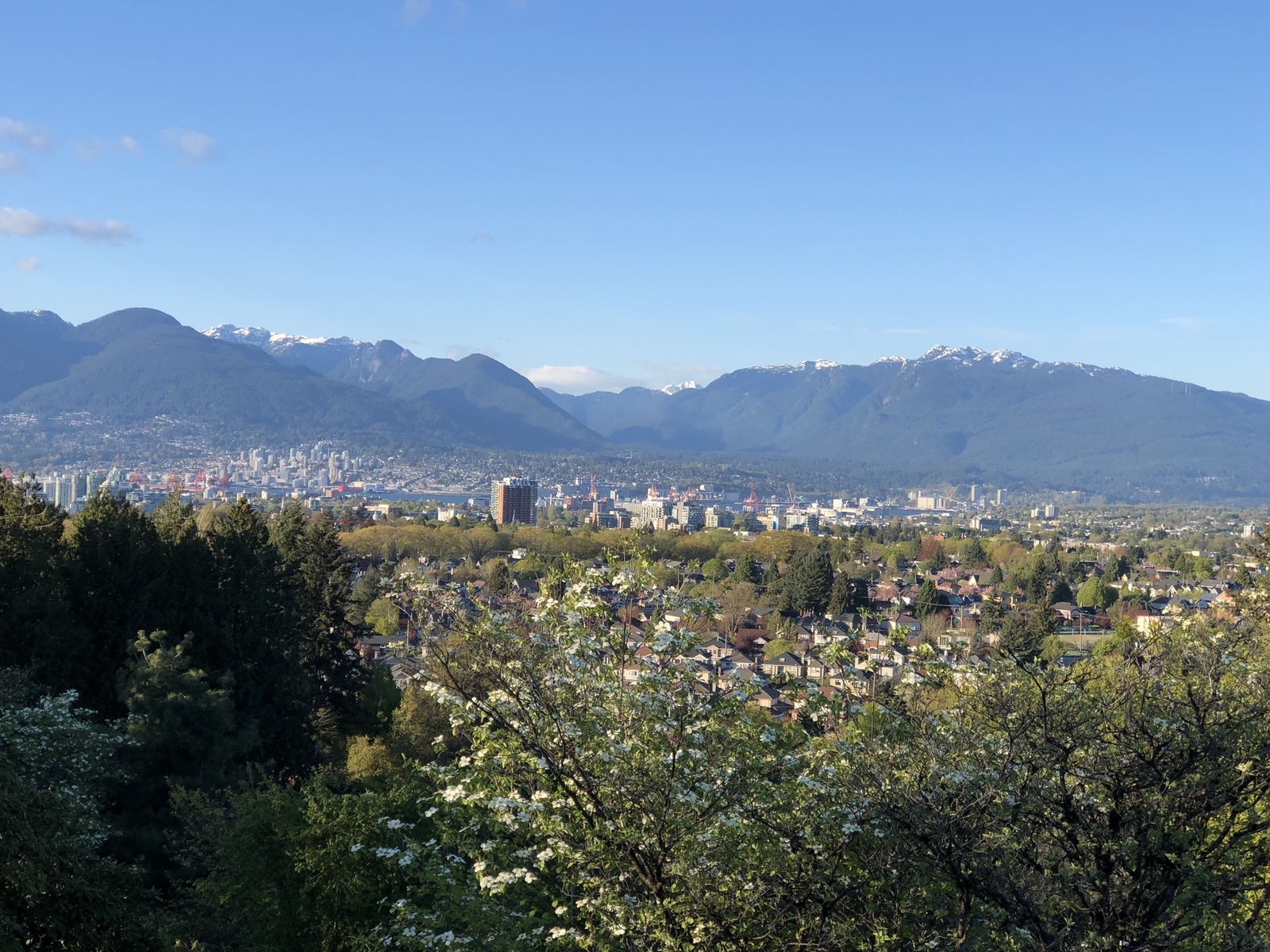 Queen Elizabeth Park, Vancouver, Canada - My, The park, Queen Elizabeth, Vancouver, Canada, Beautiful, The photo, Nature, sights, Longpost