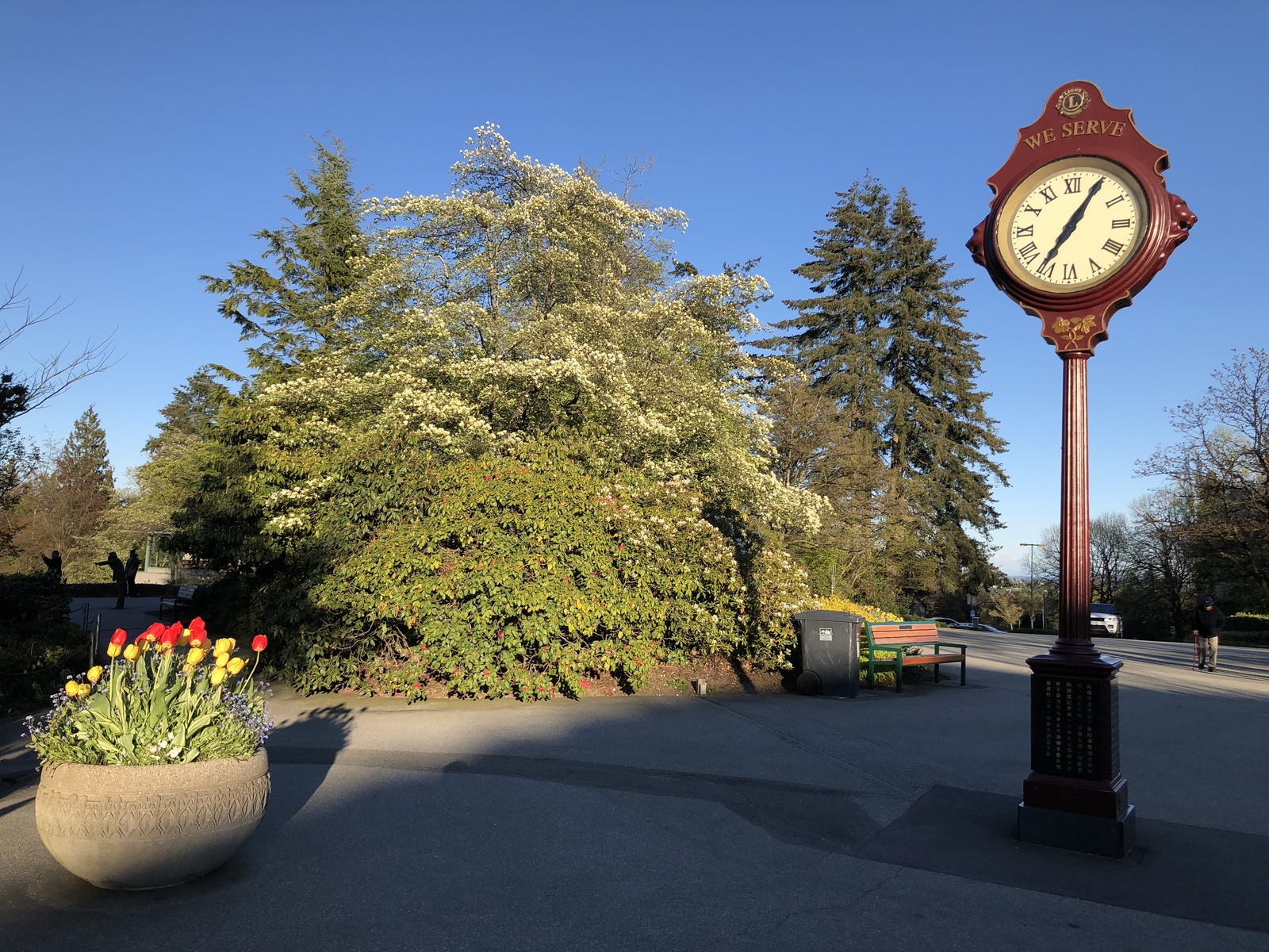 Queen Elizabeth Park, Vancouver, Canada - My, The park, Queen Elizabeth, Vancouver, Canada, Beautiful, The photo, Nature, sights, Longpost