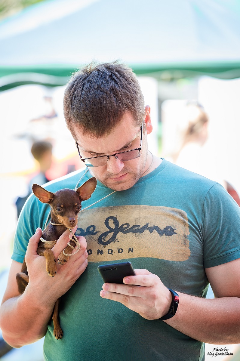 I continue to publish reportage pictures from dog shows that took place in the South of Russia in 2018, pleasant viewing))) - My, Dog, Dogs and people, Dog show, Dog days, Dog lovers, Longpost