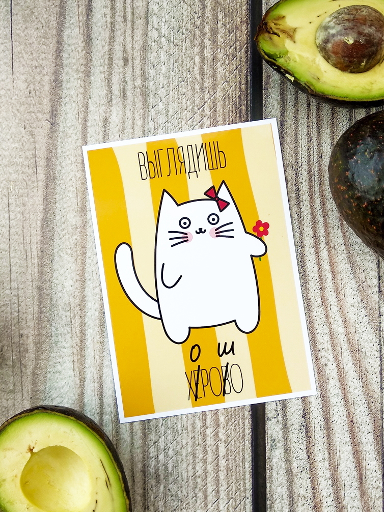 Postcards #4 - My, cat, Illustrations, Postcard, Longpost