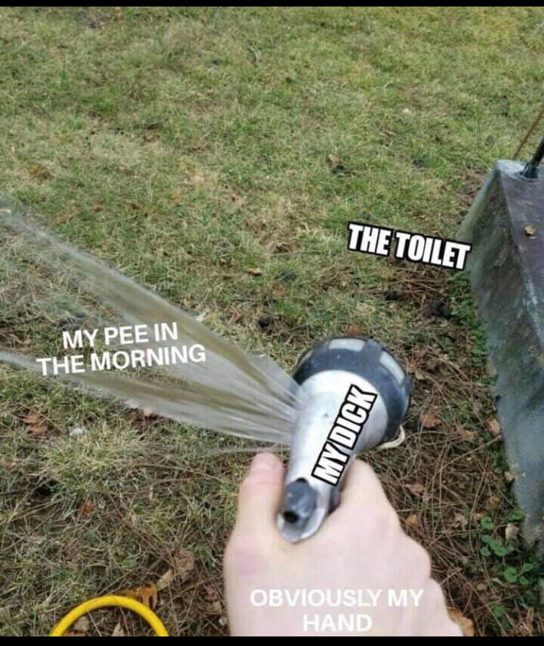 Men will understand - Morning, Toilet, Men, Dank memes