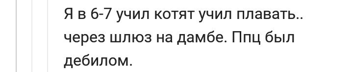 Жестокое обращение с животными - Скриншот, Юмор, Черный юмор, Животные, Домашние животные, Кот