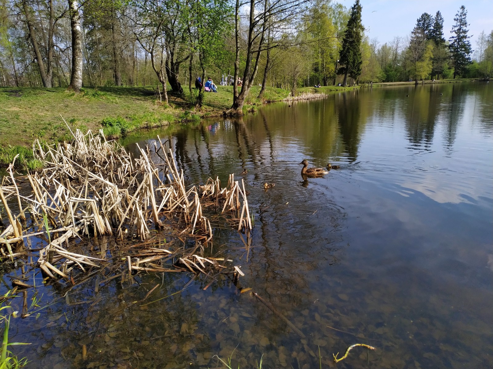 Кажется утопил телефон... | Пикабу