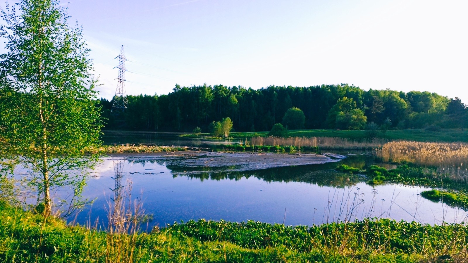 Yasenevo - My, Moscow, Yasenevo, Nature, Meizu, The photo, Landscape