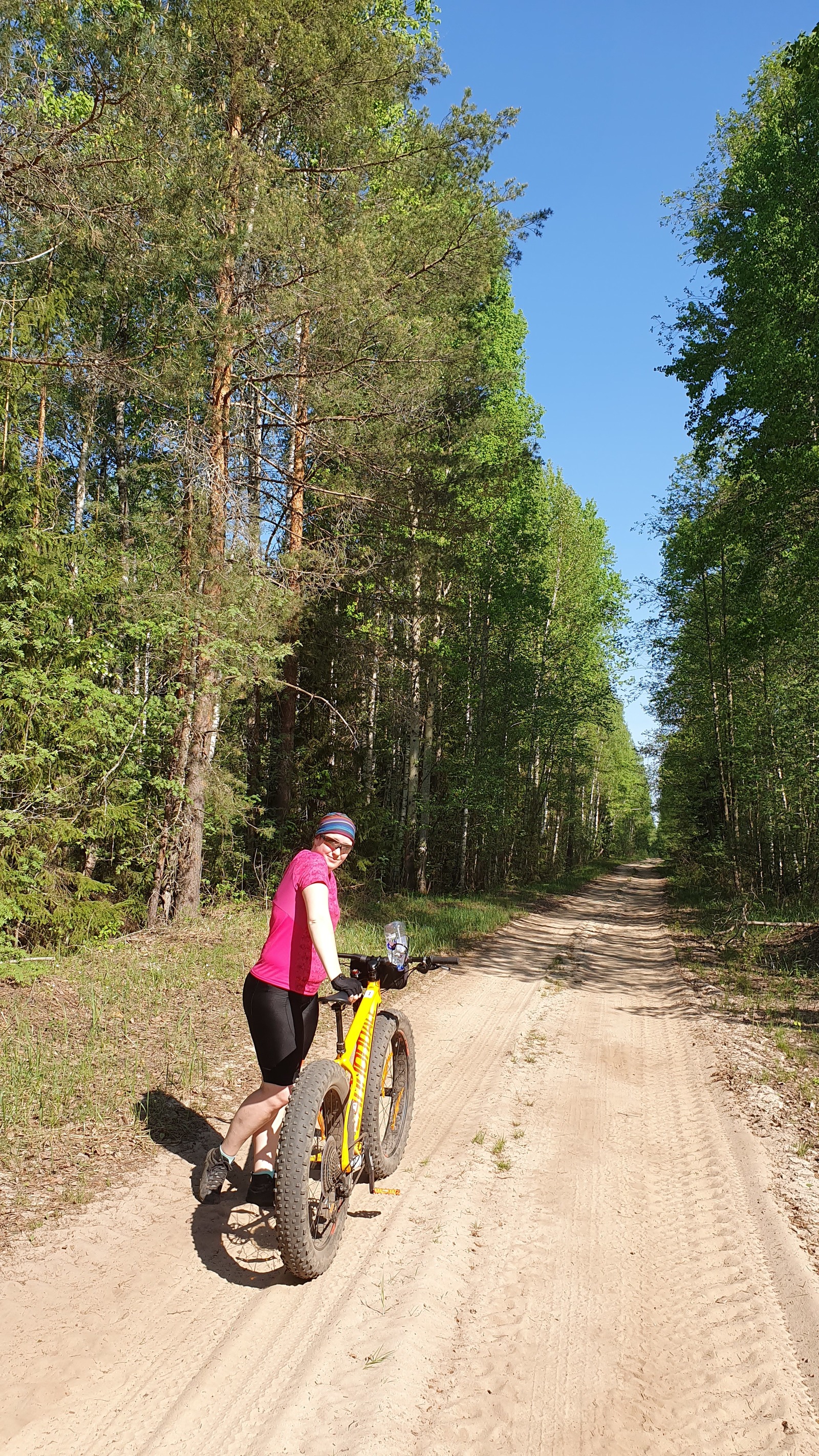 Cycling around Meshchera - My, Bike ride, Meshchera, Forest, Hike, Fatbike, A bike, Longpost