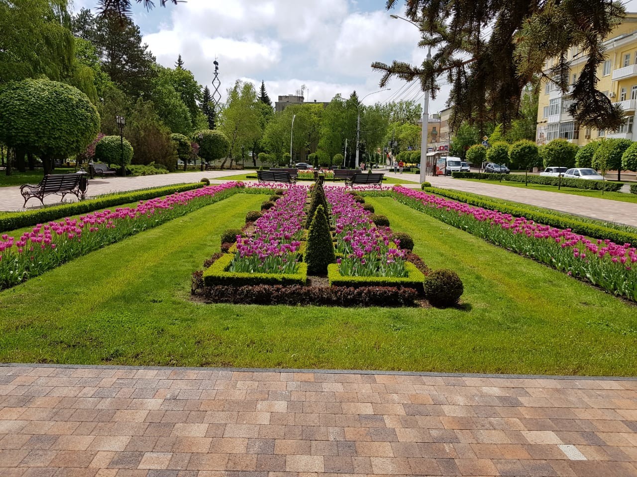 A little bit of my city - My, Flowers, The photo, beauty, Longpost, Stavropol