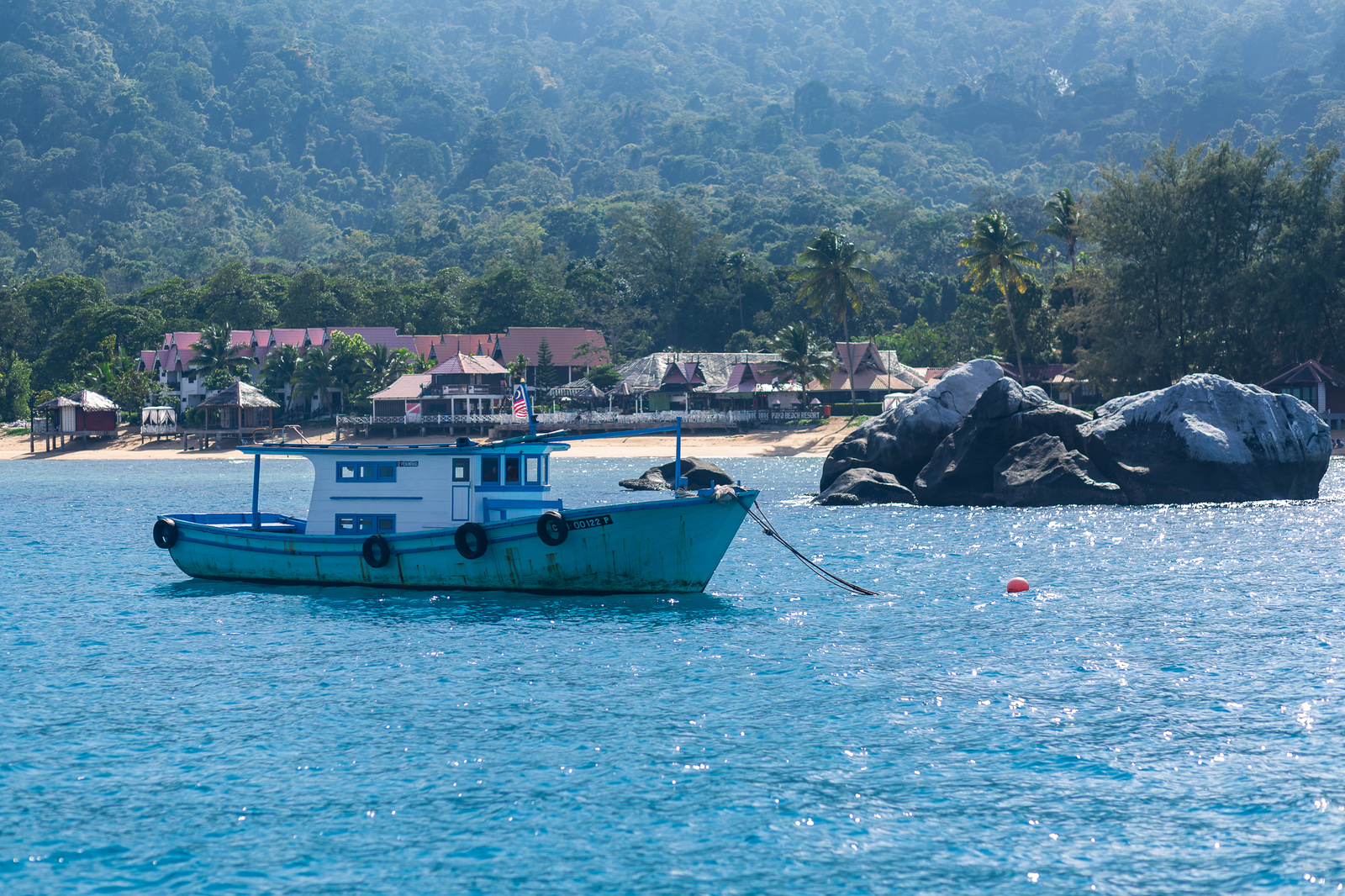 No return ticket needed 6. Tioman - My, Travels, Malaysia, Tioman, Paradise, Paradise Island, Snorkeling, Jungle, Video, Longpost