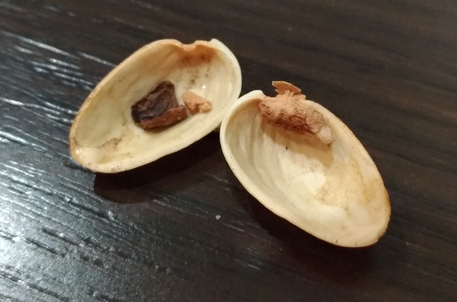 Pistachios You Shouldn't Buy - My, Pistachios, , Deception, People's Control, Longpost, Marriage, Do not buy