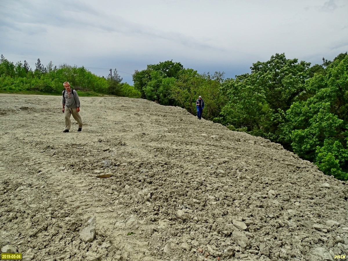 In the relict forest in Gelendzhik, a patriarchal dump of construction waste appeared - My, Краснодарский Край, Gelendzhik, Blackpool, ROC, Patriarch, Ecology, Dump, Capturing the Forest, Longpost