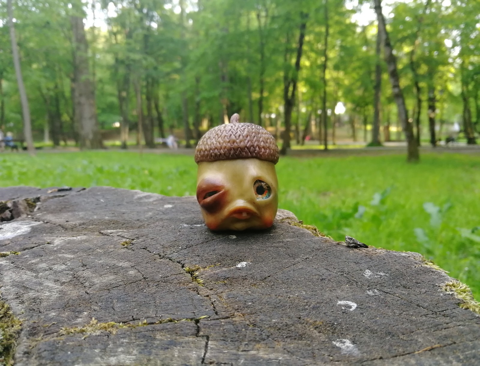 Acorn - My, Polymer clay, With your own hands, Needlework without process, Creation, Longpost