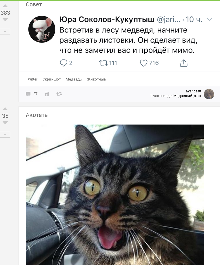 When two posts are created to become the third... - Screenshot, Animals, Astonishment