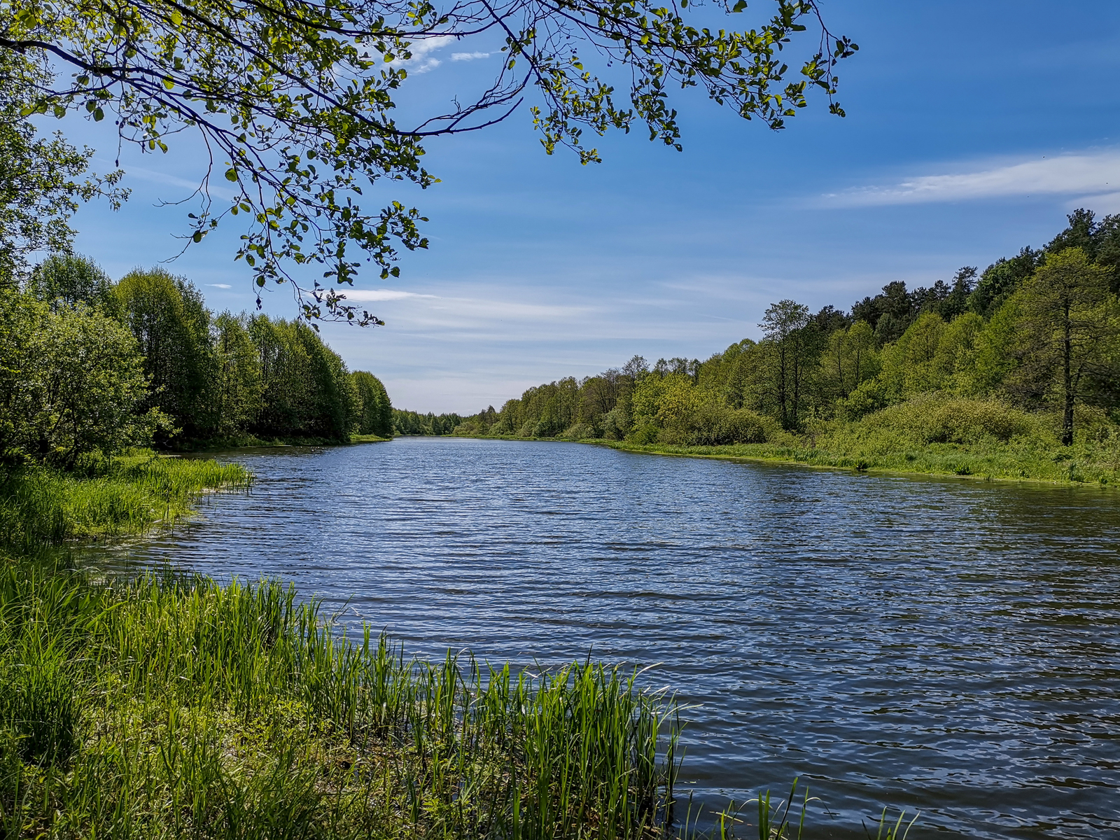 Горячего нижегородская область. Решетиха Нижегородская область. Совец река Дзержинск. Решетиха Нижегородская область природа. Решетиха Дзержинск.