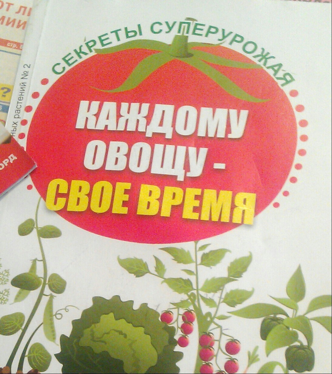 Когда мама сказала искать девушку и делать внуков - Мама, Внуки, Овощи, Время