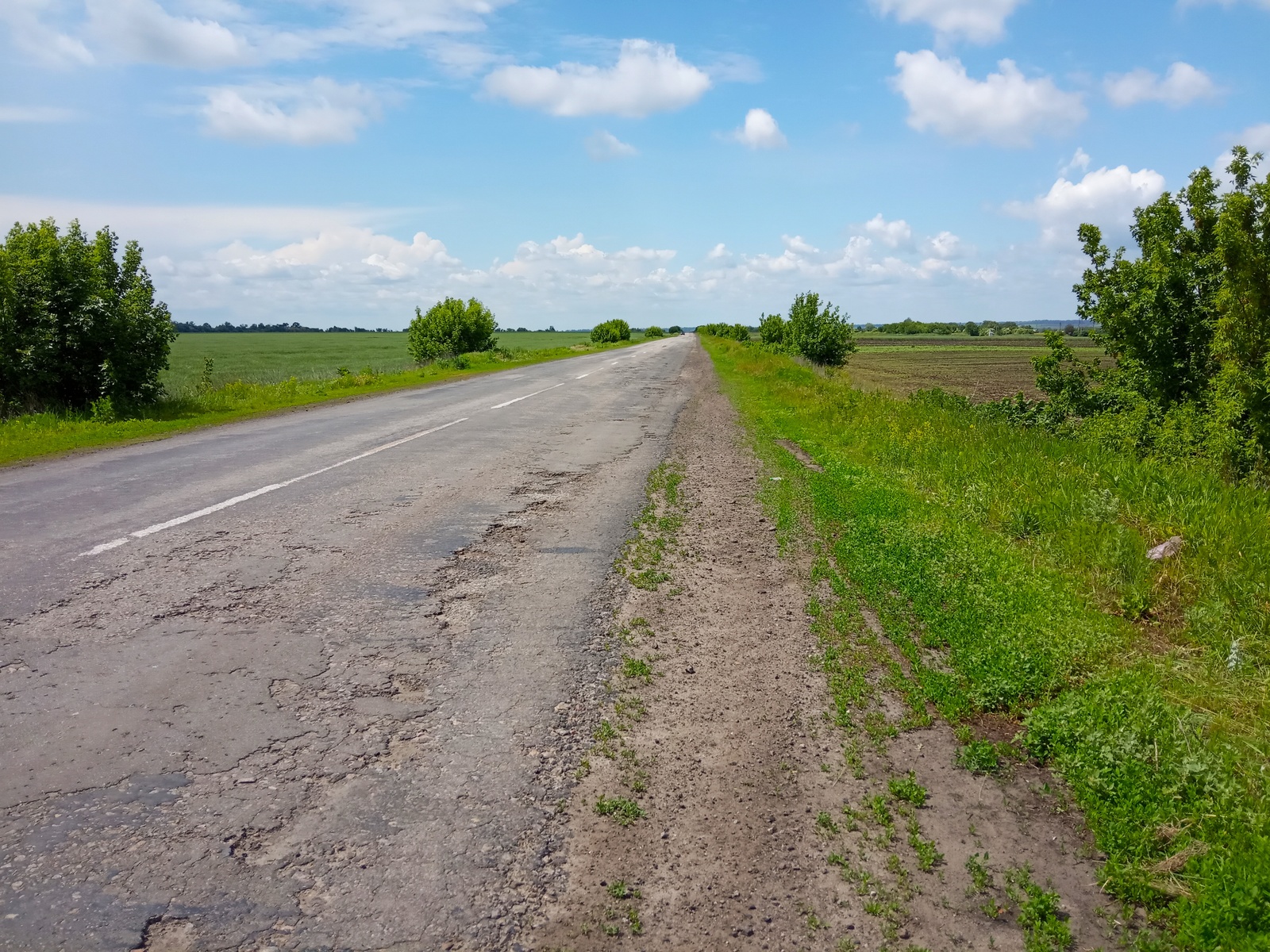 Снова в седле. - Моё, Велосипед, Ремонт, Фотография, Природа, Такса, Длиннопост