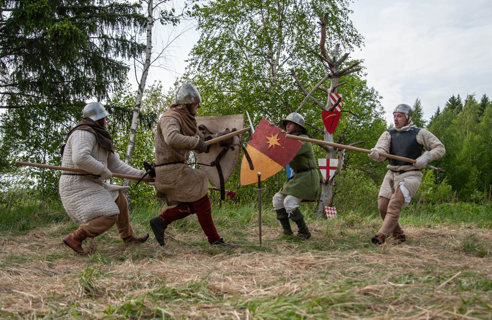 Maypole Festival 2019 - My, 13th century, The festival, Middle Ages, Knight, Field hockey, Longpost