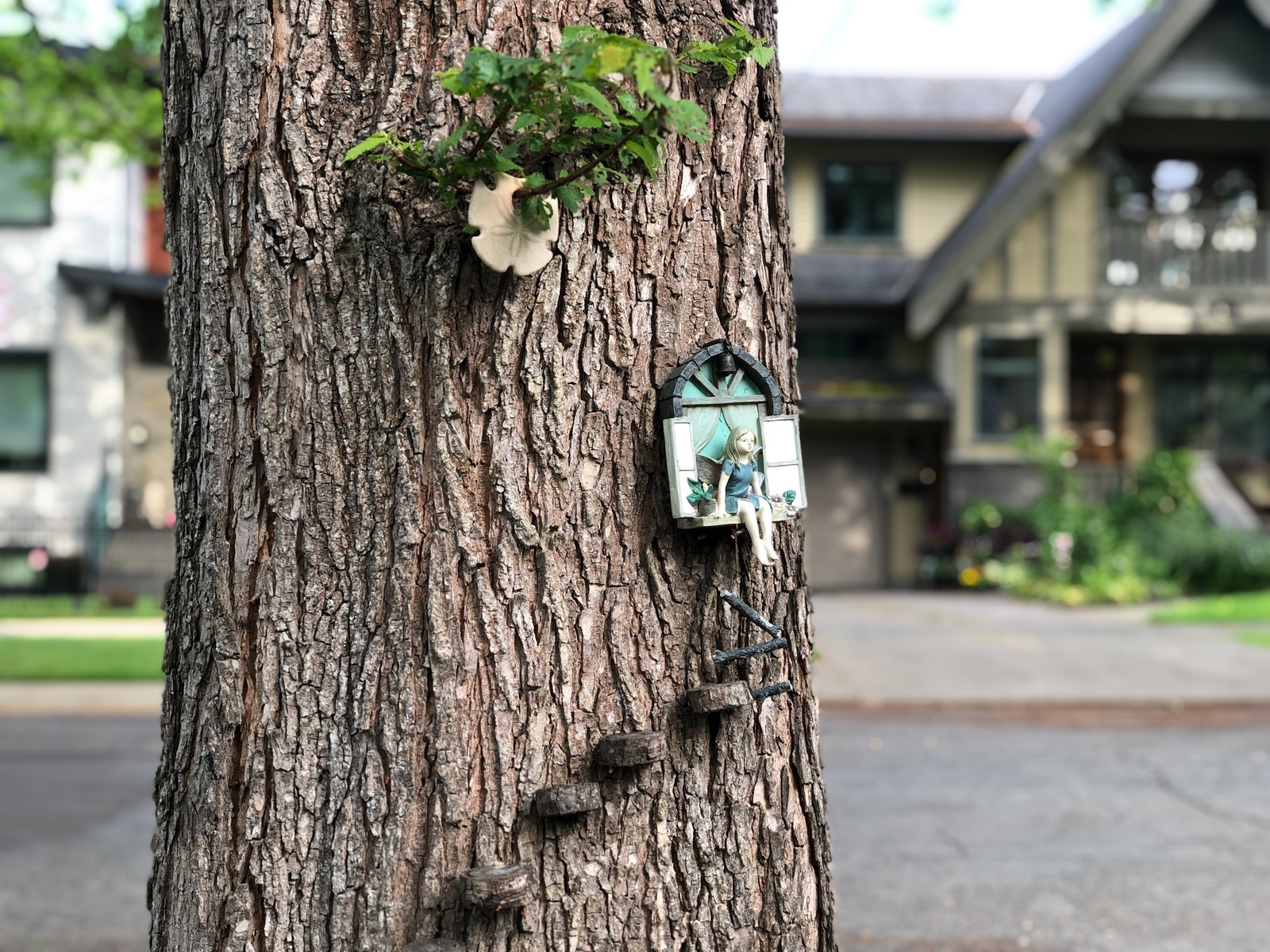 Canada - My, Canada, The street, House, Tree, Decoration, Miniature, beauty, Longpost