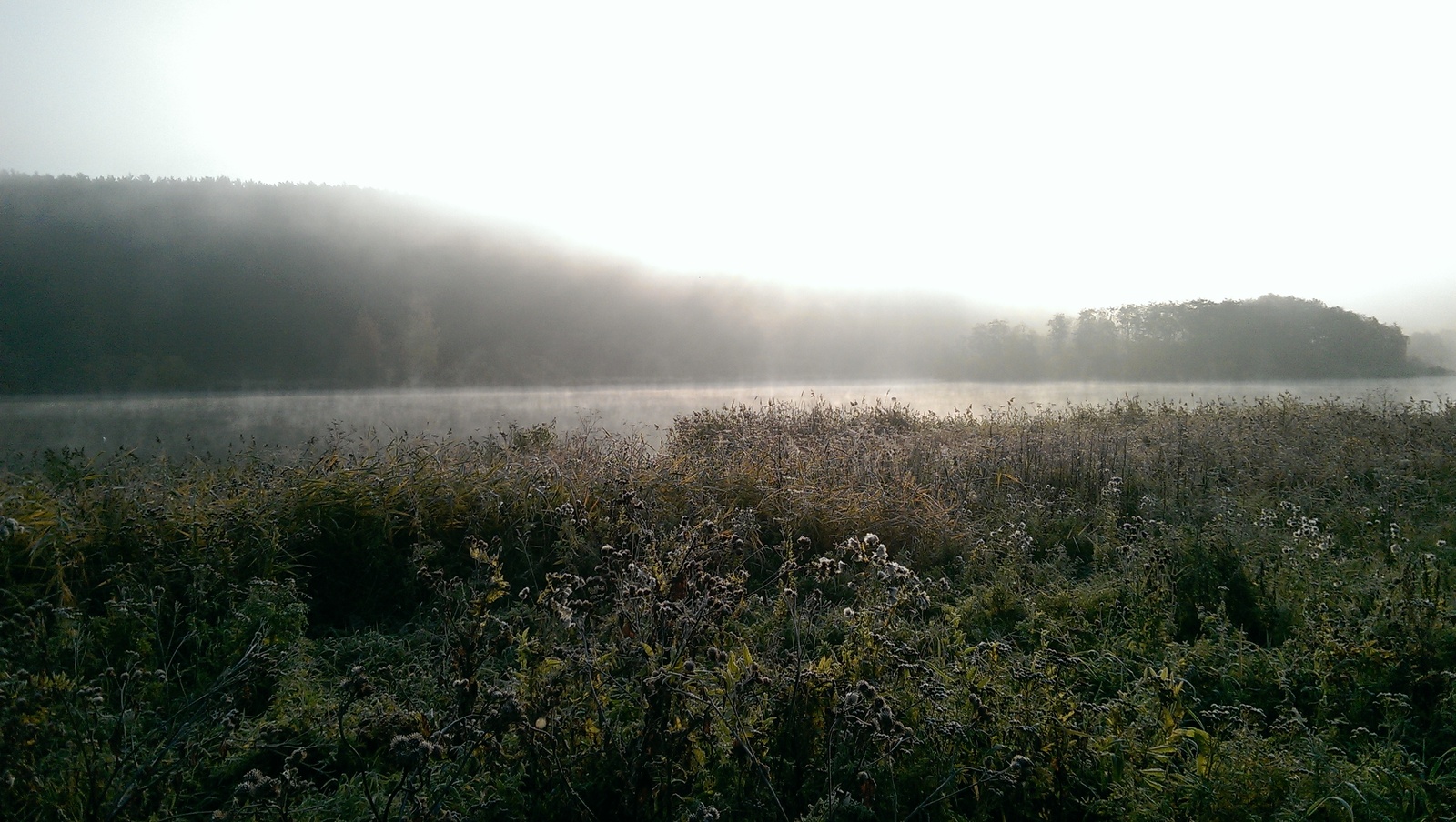 Ural dawn. - My, River, dawn, Fog, Ural